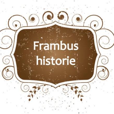 Frambus historie